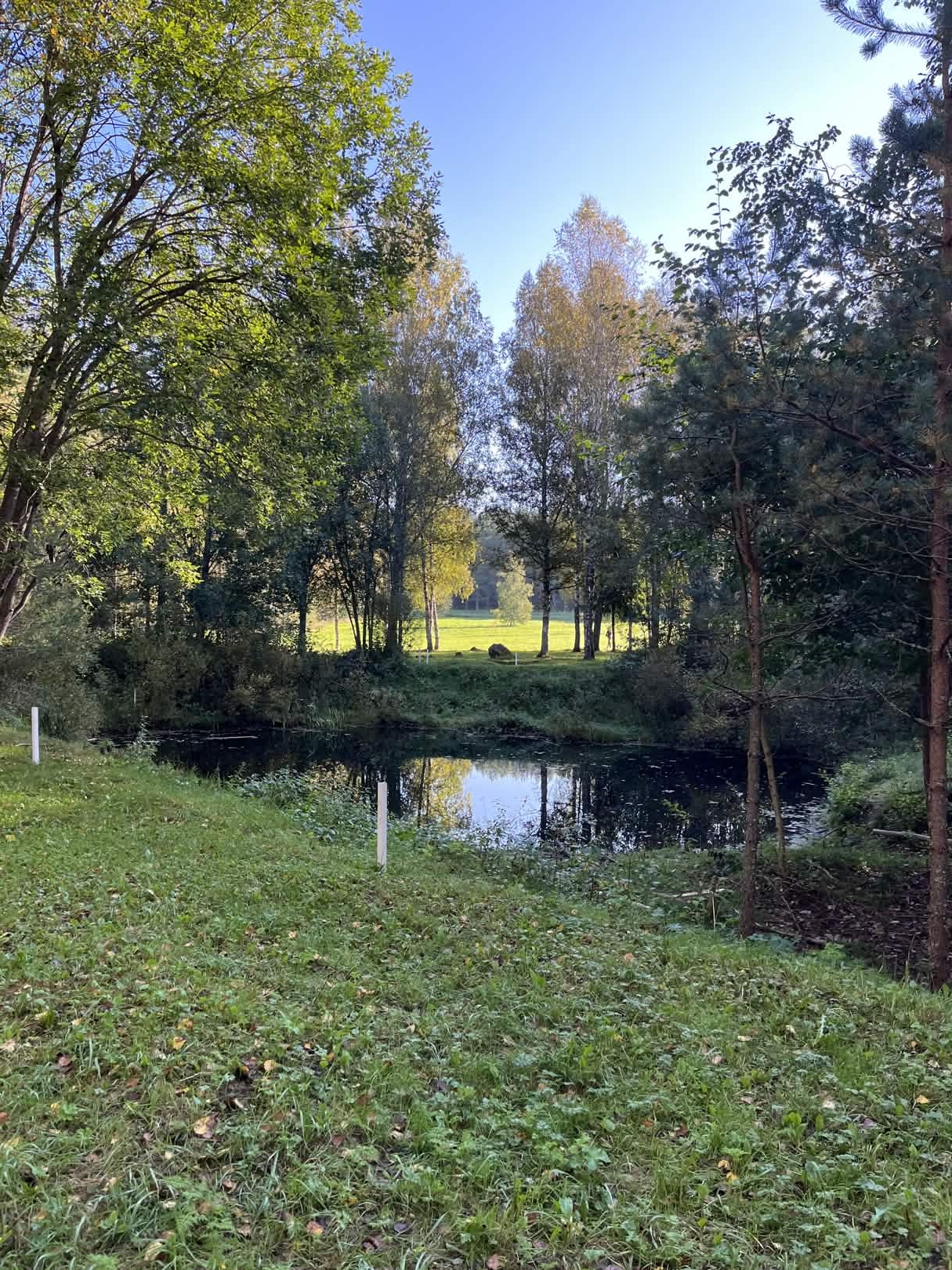 Viikkokisat kesällä 2026