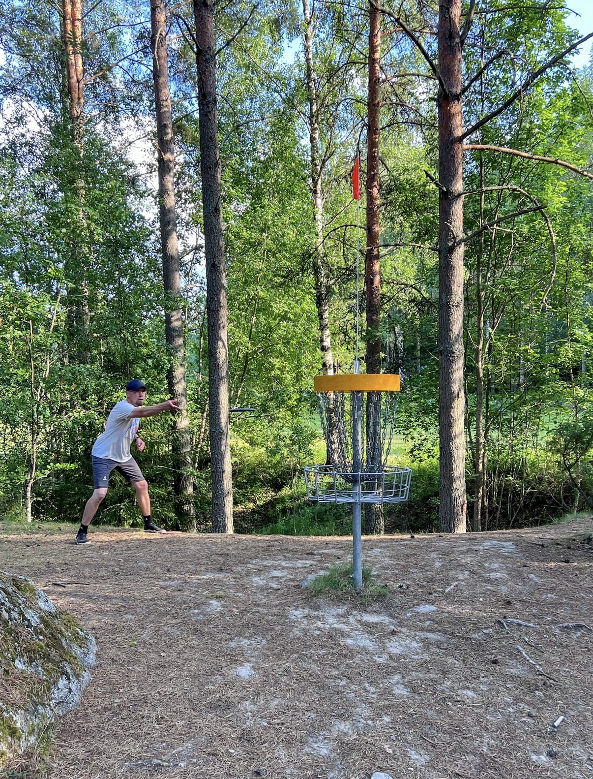 Mies puttaa frisbeegolfkiekkoa koriin Ristinummen frisbeegolfradalla.